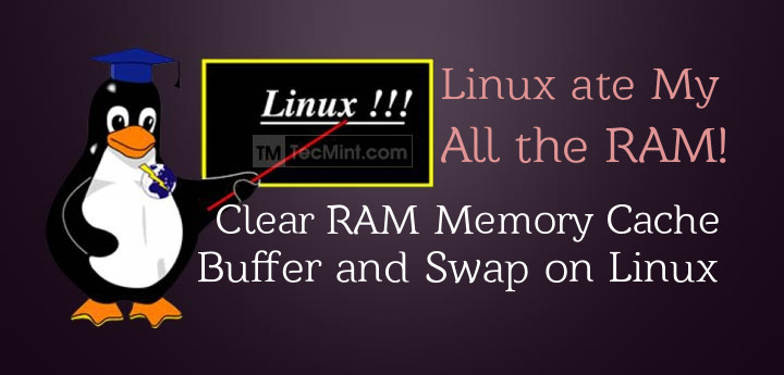 Linux flush memory